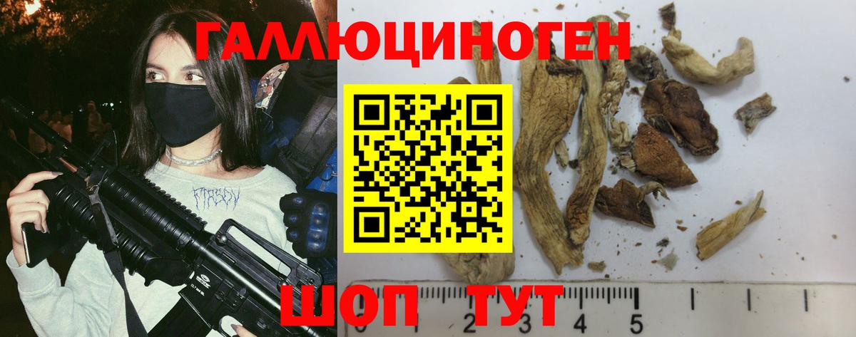 Галлюциногенные грибы MAGIC MUSHROOMS Курган